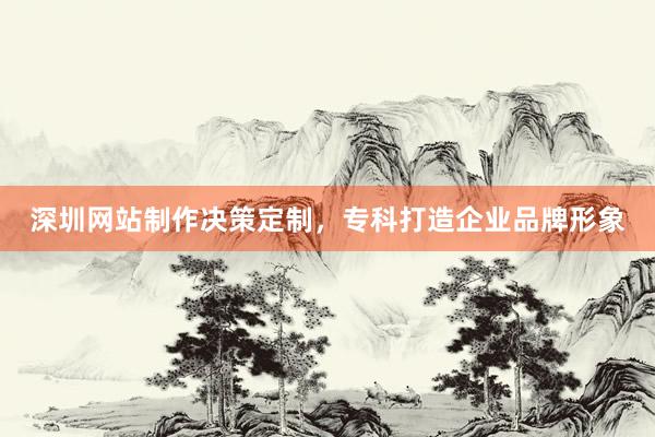 深圳网站制作决策定制，专科打造企业品牌形象